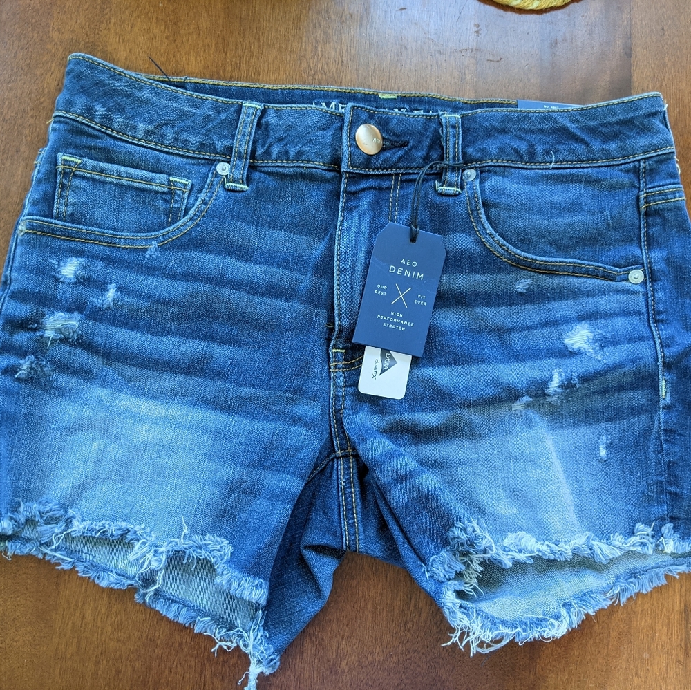 AE Denim Shorts
